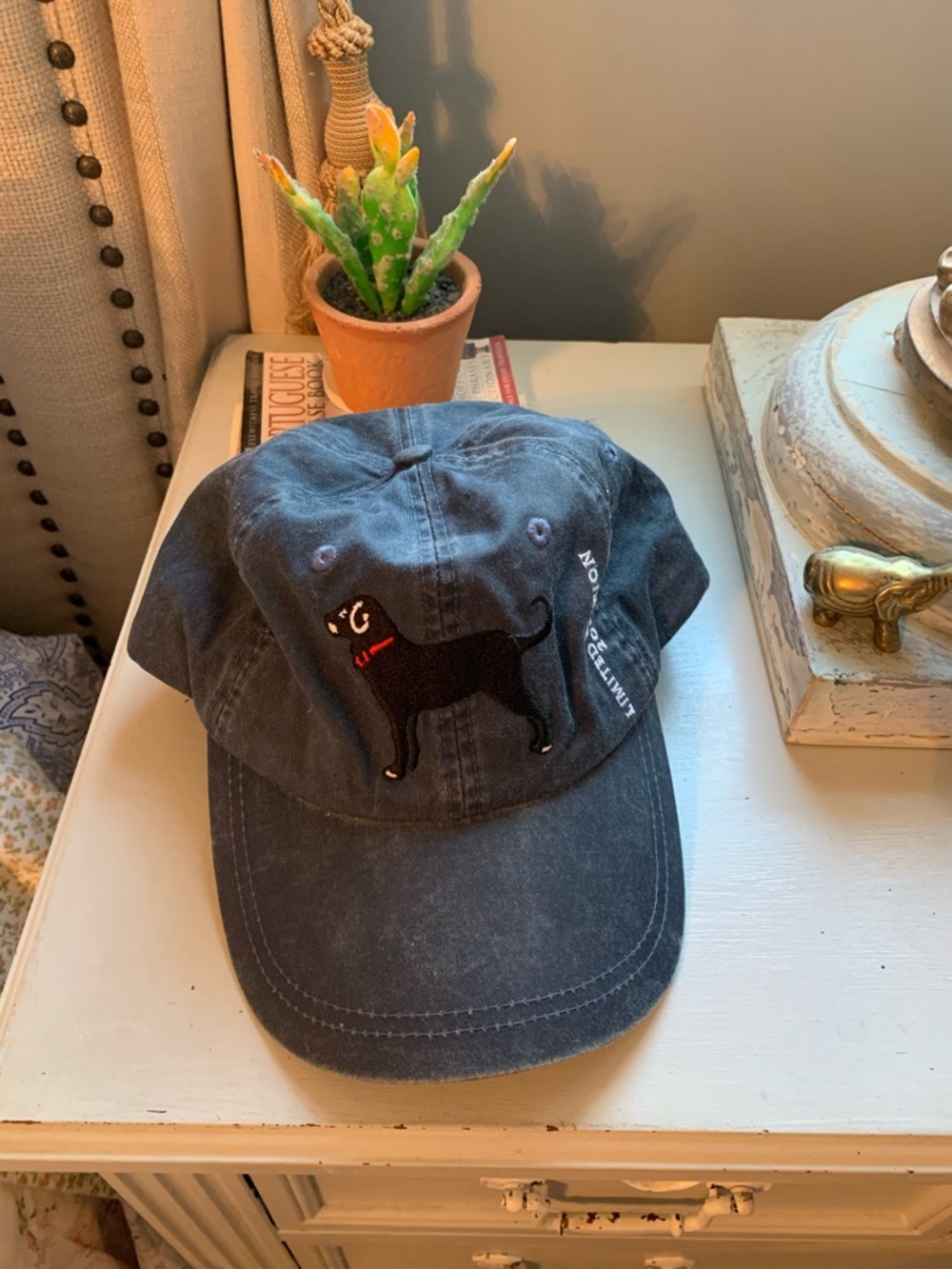 The Black Dog Washed Black Embroidered Dog Baseball Hat